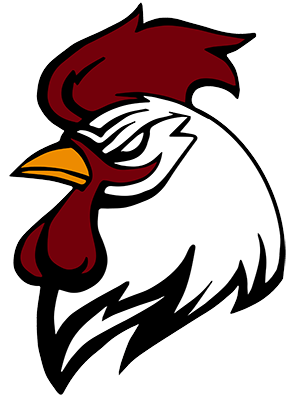USC Gamecocks Logo